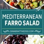 Farro Salad Recipe | Healthy Salad #salad #healthy #cleaneating #farro #dinner #edsug