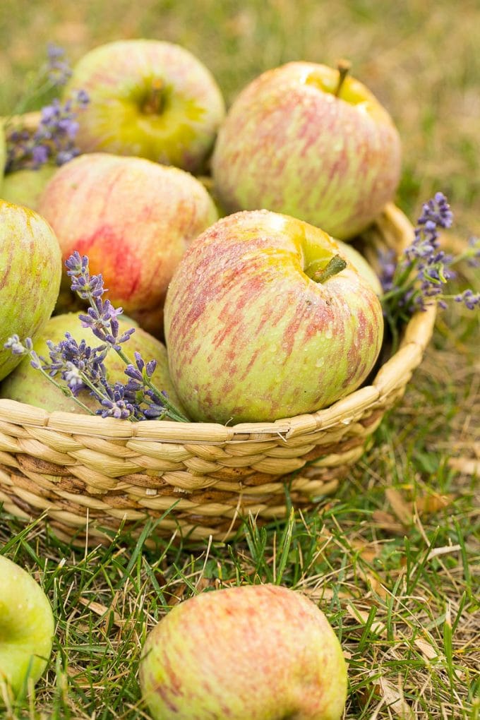 Freshly picked apples in a basket.