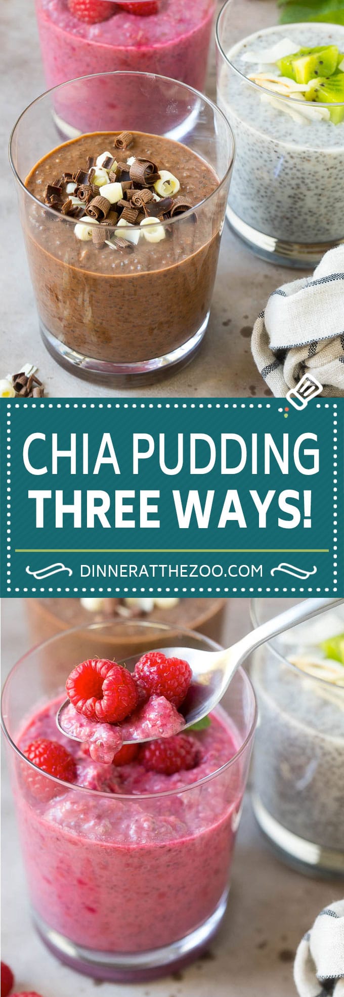 Chia Pudding Recipe | Chocolate Chia Pudding | Coconut Chia Pudding | Raspberry Chia Pudding #chia #pudding #breakfast #dessert #vegan #glutenfree #dairyfree #edsug