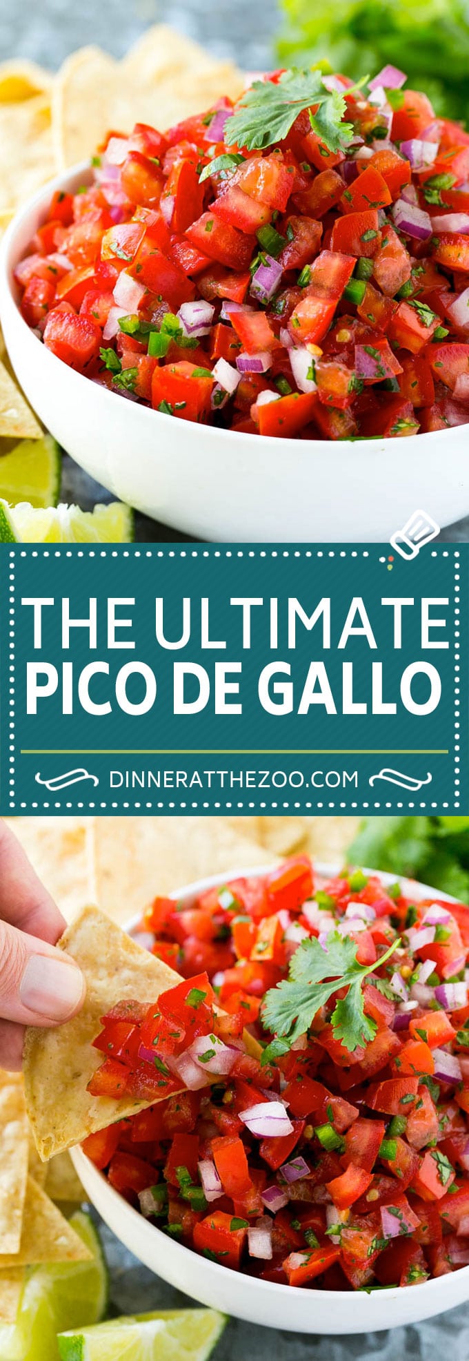 Pico de Gallo Recipe | Homemade Salsa Recipe | Salsa Fresca Recipe #salsa #salsafresca #picodegallo #snack #appetizer #edsug