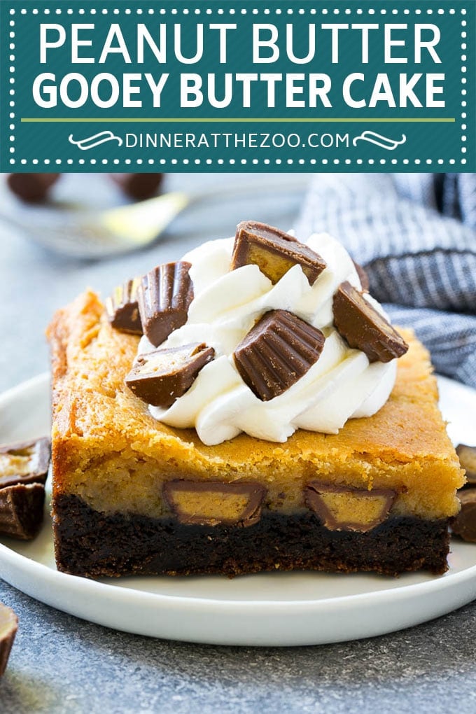 Peanut Butter Chocolate Gooey Butter Cake Recipe | Gooey Butter Cake | Peanut Butter Cake | Chocolate Peanut Butter Cake #cake #butter #peanutbutter #chocolate #dessert #edsug