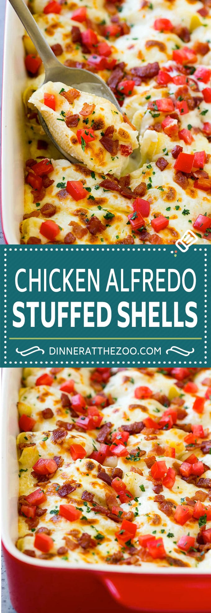 Chicken Alfredo Stuffed Shells Recipe | Stuffed Shells | Chicken Stuffed Shells | Baked Pasta #stuffedshells #alfredo #chicken #pasta #cheese #dinner #edsug