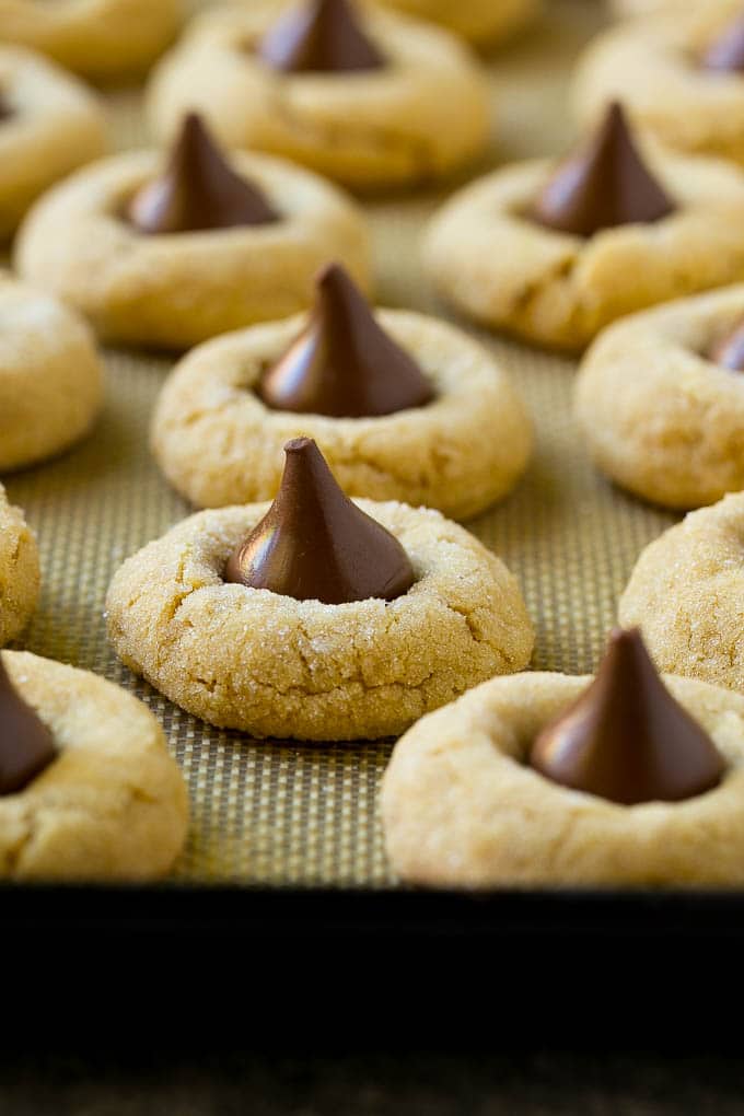 Peanut Butter Blossoms Recipe | Hershey Kiss Cookies | Chocolate Peanut Butter Cookies #cookies #peanutbutter #chocolate #dessert #baking #christmas #christmascookies #edsug Baked peanut butter blossom cookies on a sheet pan.