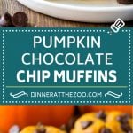 Pumpkin Chocolate Chip Muffins Recipe | Pumpkin Muffins | Chocolate Pumpkin Muffins #muffins #pumpkin #fall #chocolate #dessert #snack #edsug