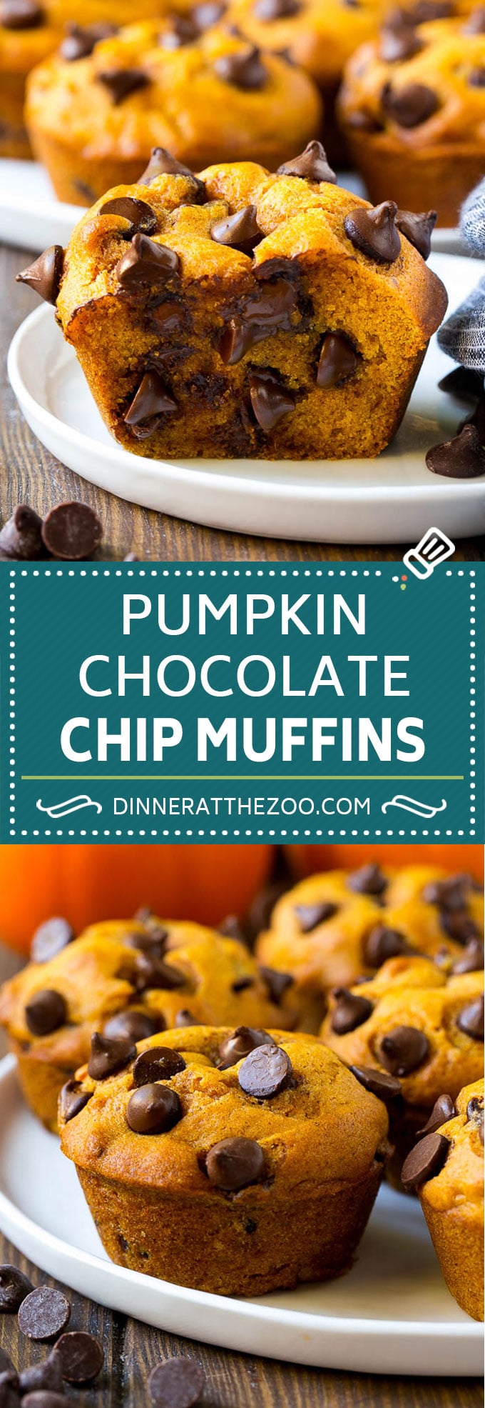 Pumpkin Chocolate Chip Muffins Recipe | Pumpkin Muffins | Chocolate Pumpkin Muffins #muffins #pumpkin #fall #chocolate #dessert #snack #edsug