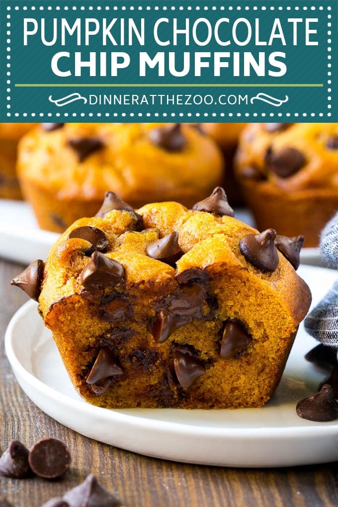 Pumpkin Chocolate Chip Muffins Recipe | Pumpkin Muffins | Chocolate Pumpkin Muffins #muffins #pumpkin #fall #chocolate #dessert #snack #edsug