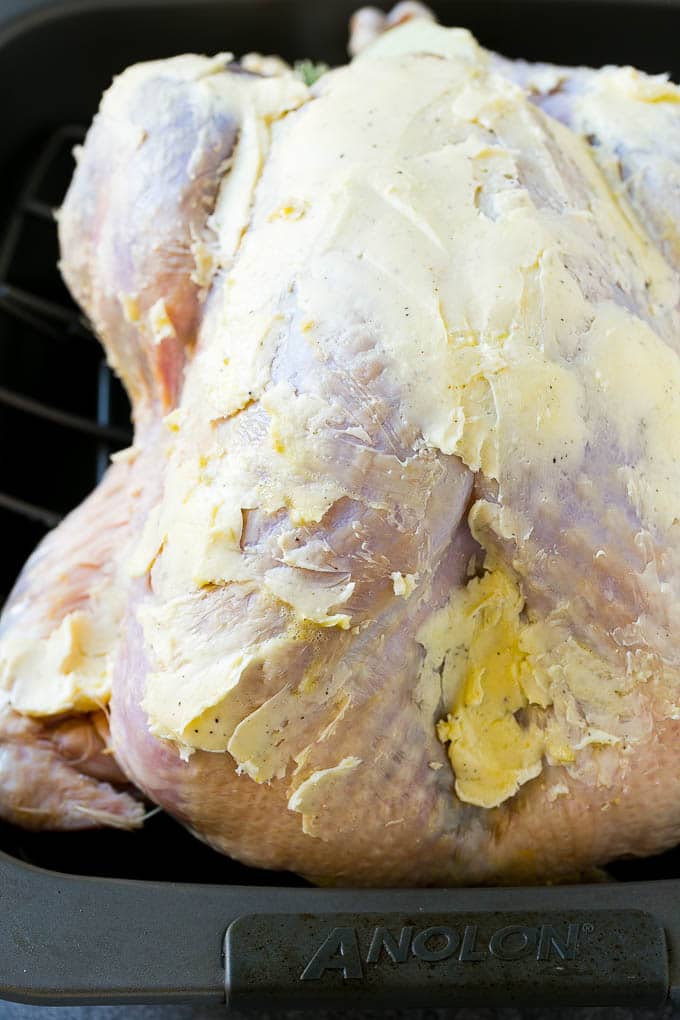 Roast Turkey Recipe | Thanksgiving Turkey | Holiday Turkey | Baked Turkey #turkey #thanksgiving #christmas #dinner #glutenfree #edsug A whole raw turkey coated in seasoned butter.