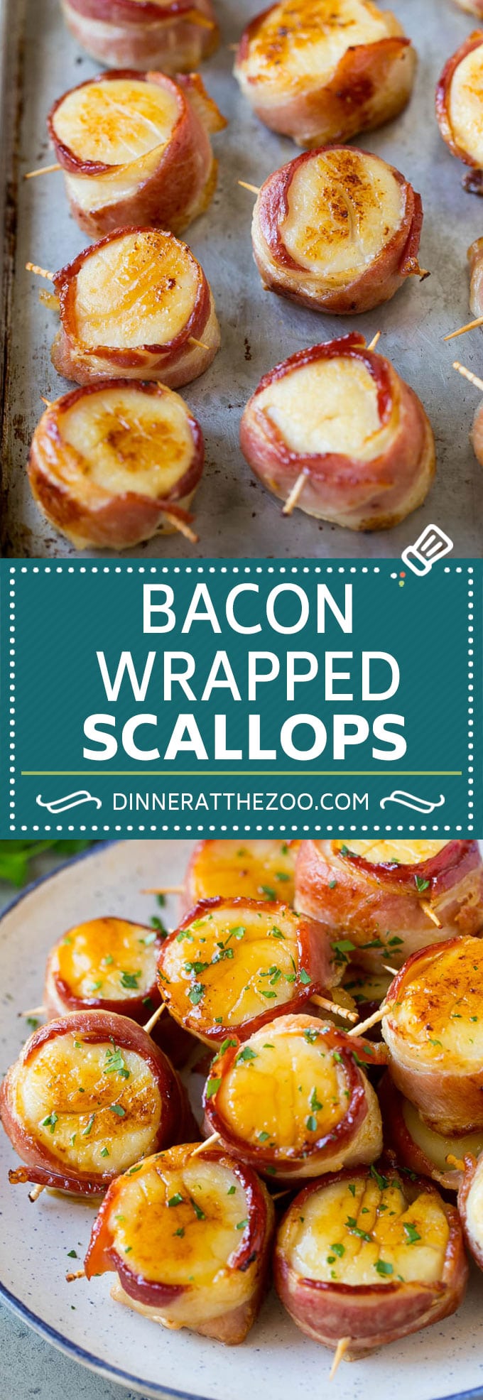 Bacon Wrapped Scallops Recipe | Broiled Scallops | Baked Scallops #scallops #seafood #bacon #dinner #appetizer #edsug