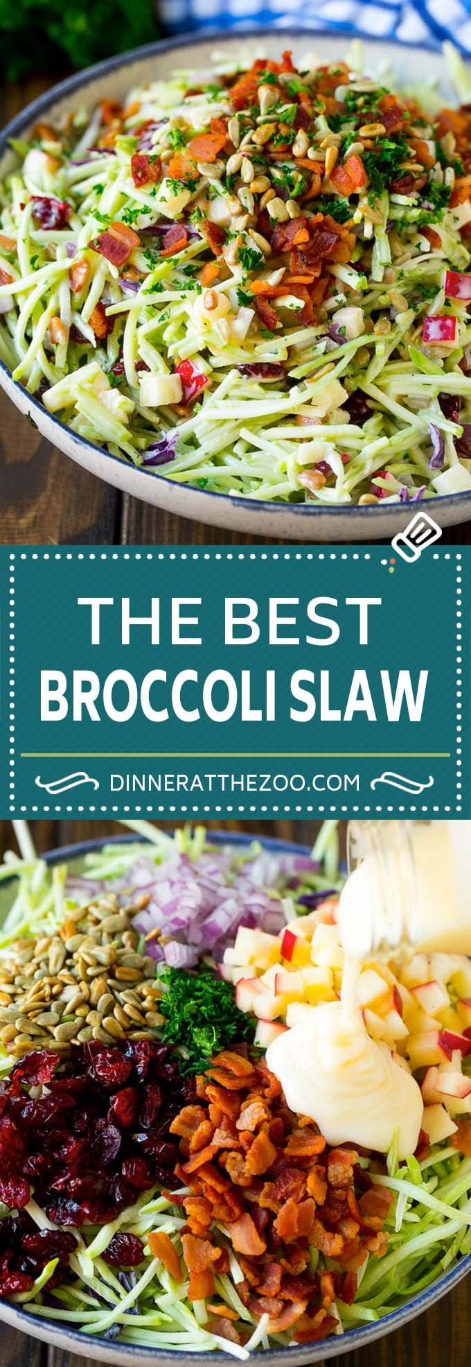 Bacon Broccoli Slaw Recipe | Coleslaw Recipe | Broccoli Slaw #broccoli #slaw #salad #apple #bacon #sidedish #lunch #edsug