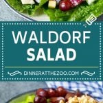 Waldorf Salad Recipe | Apple Salad | Fruit Salad #salad #fruit #apples #grapes #lunch #edsug #glutenfree