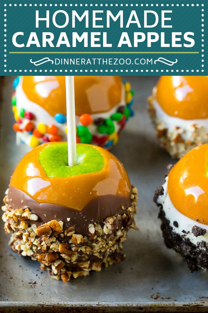 Caramel Apples Recipe | Dipped Apples | Apple Dessert #apples #caramel #chocolate #dessert #fall #edsug