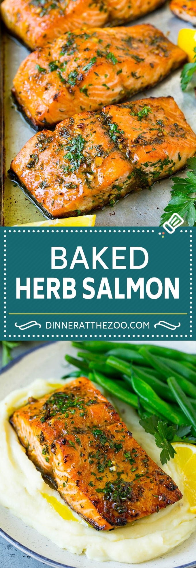 Baked Salmon Recipe | Garlic Salmon | Roasted Salmon #salmon #seafood #fish #dinner #edsug