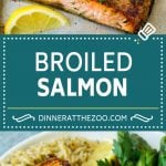 Broiled Salmon Recipe | Healthy Salmon Recipe #salmon #garlic #seafood #dinner #edsug