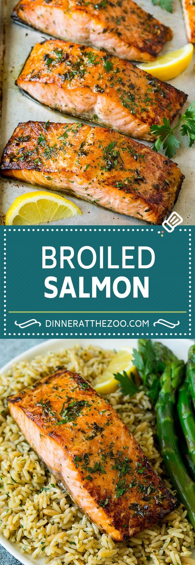 Broiled Salmon Recipe | Healthy Salmon Recipe #salmon #garlic #seafood #dinner #edsug