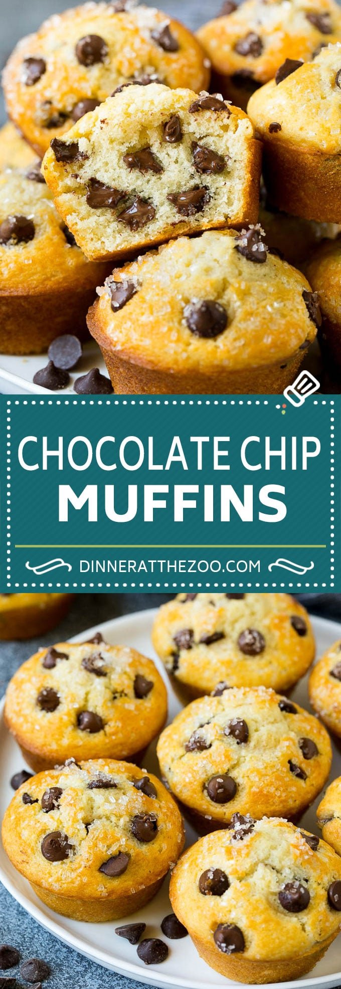 Chocolate Chip Muffins | Easy Muffin Recipe #chocolate #muffins #baking #breakfast #snack #edsug