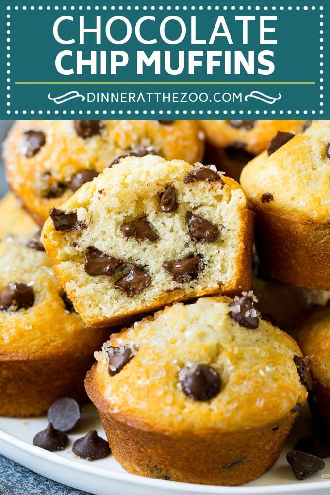 Chocolate Chip Muffins | Easy Muffin Recipe #chocolate #muffins #baking #breakfast #snack #edsug