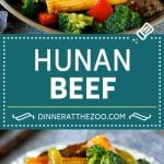 Hunan Beef Recipe | Beef Stir Fry #beef #stirfry #dinner #broccoli #edsug