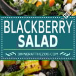 Blackberry Salad Recipe | Summer Salad #salad #blackberries #apricot #corn #dinner #healthy #edsug