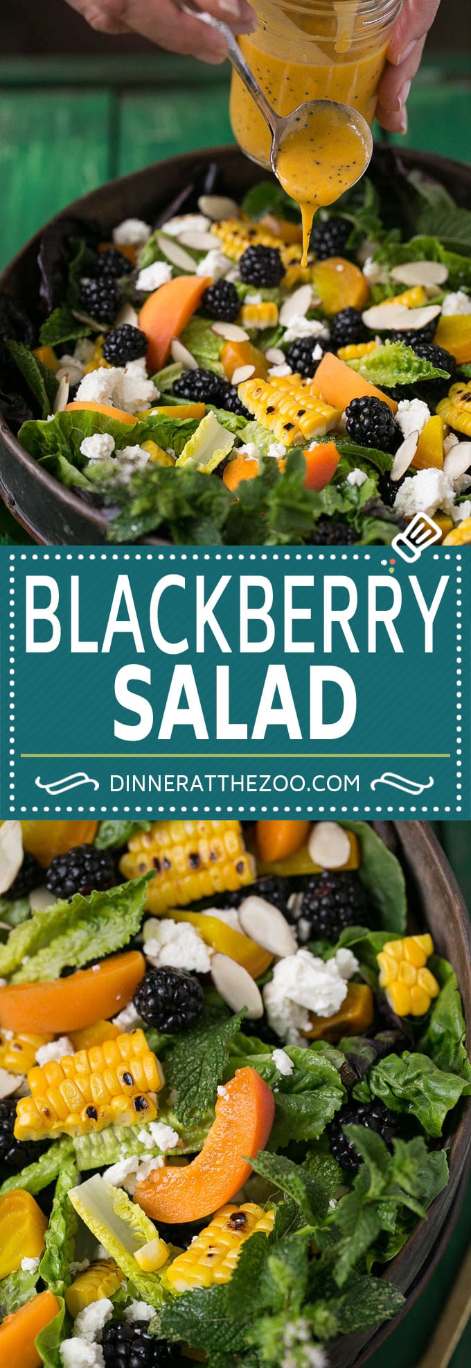 Blackberry Salad Recipe | Summer Salad #salad #blackberries #apricot #corn #dinner #healthy #edsug