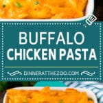 Buffalo Chicken Pasta Recipe | Baked Pasta #chicken #buffalochicken #pasta #cheese #dinner #edsug