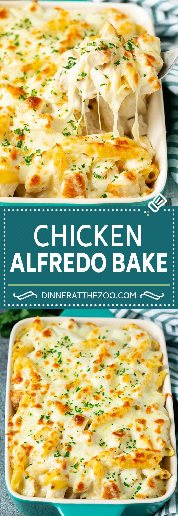 Chicken Alfredo Bake | Baked Pasta #chicken #pasta #cheese #comfortfood #dinner #edsug