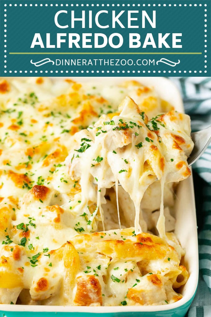 Chicken Alfredo Bake | Baked Pasta #chicken #pasta #cheese #comfortfood #dinner #edsug