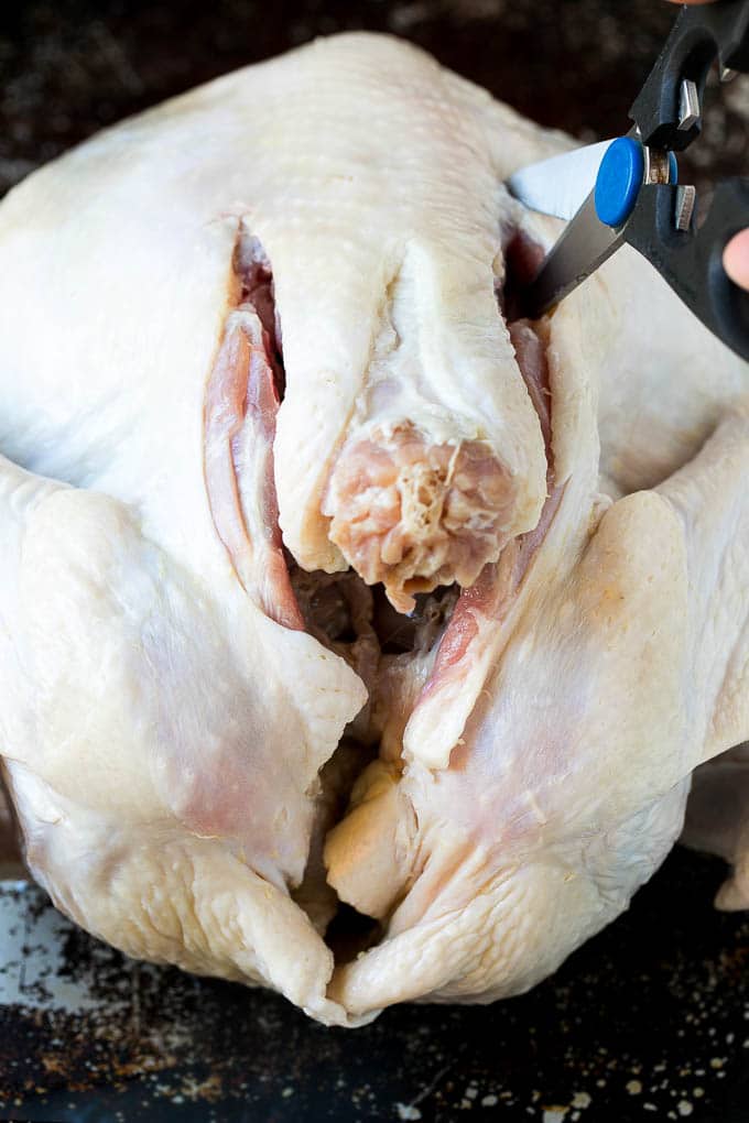 Spatchcock Turkey | Roasted Turkey | Thanksgiving Turkey #turkey #thanksgiving #dinner #fall #christmas #edsug A scissors cutting the back bone out.