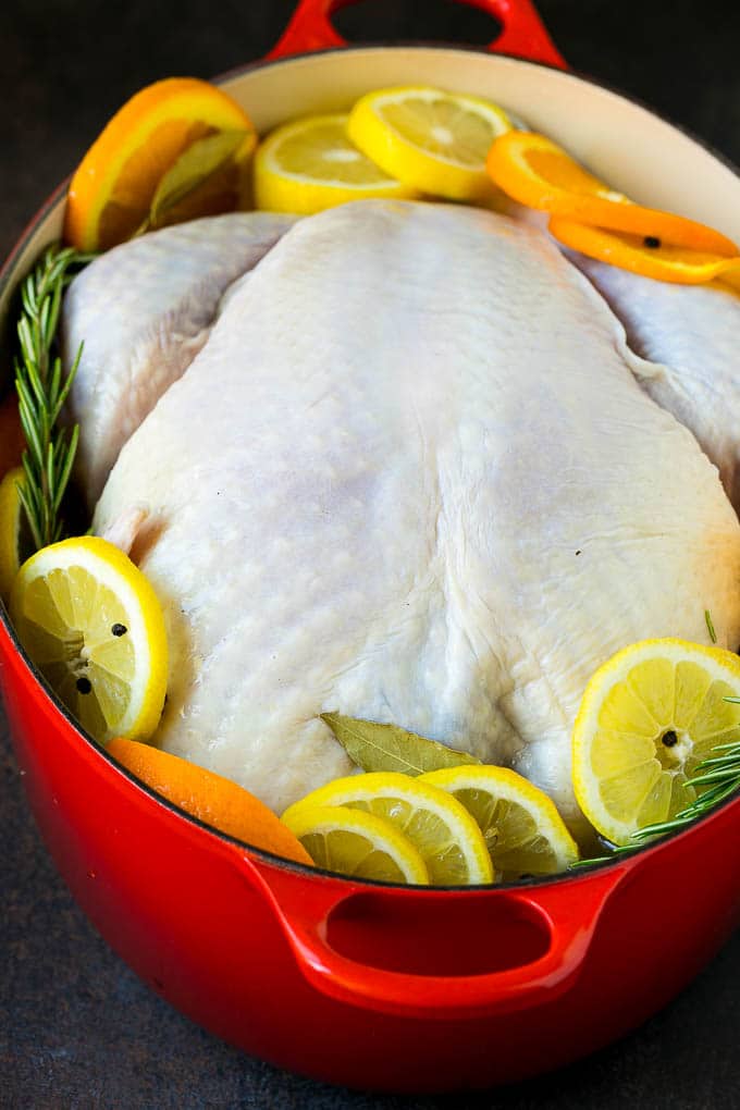 Thanksgiving Turkey Recipe | Roasted Turkey #turkey #thanksgiving #fall #dinner #edsug A turkey in a pot of brine.