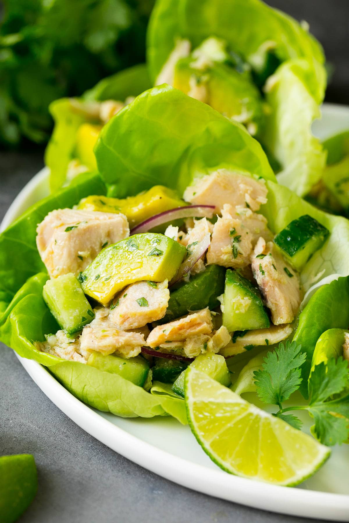 Tuna salad served in a lettuce cup.