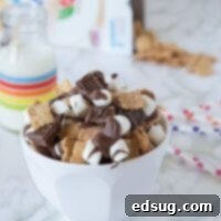 A beautifully presented bowl of homemade S'mores Snack Mix, ready to be enjoyed.