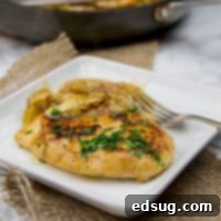 Chicken in Artichoke Pan Sauce - sauteed chicken breasts in a creamy artichoke pan sauce. Ready in minutes and perfect for weeknights!