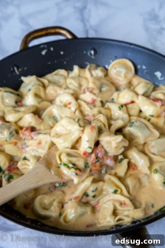 Creamy tomato basil tortellini served in a skillet, ready to be dished out