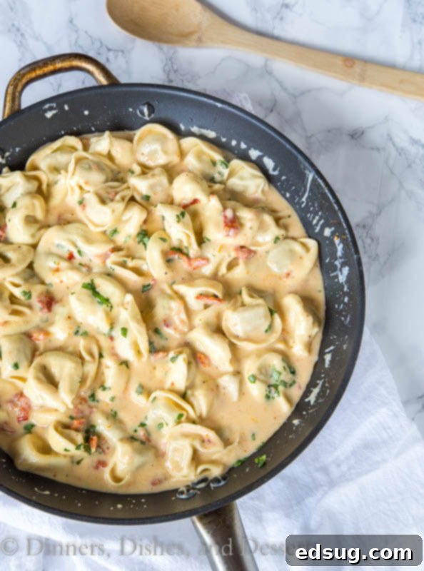 A bowl of creamy tomato basil tortellini garnished with fresh basil, ready to eat