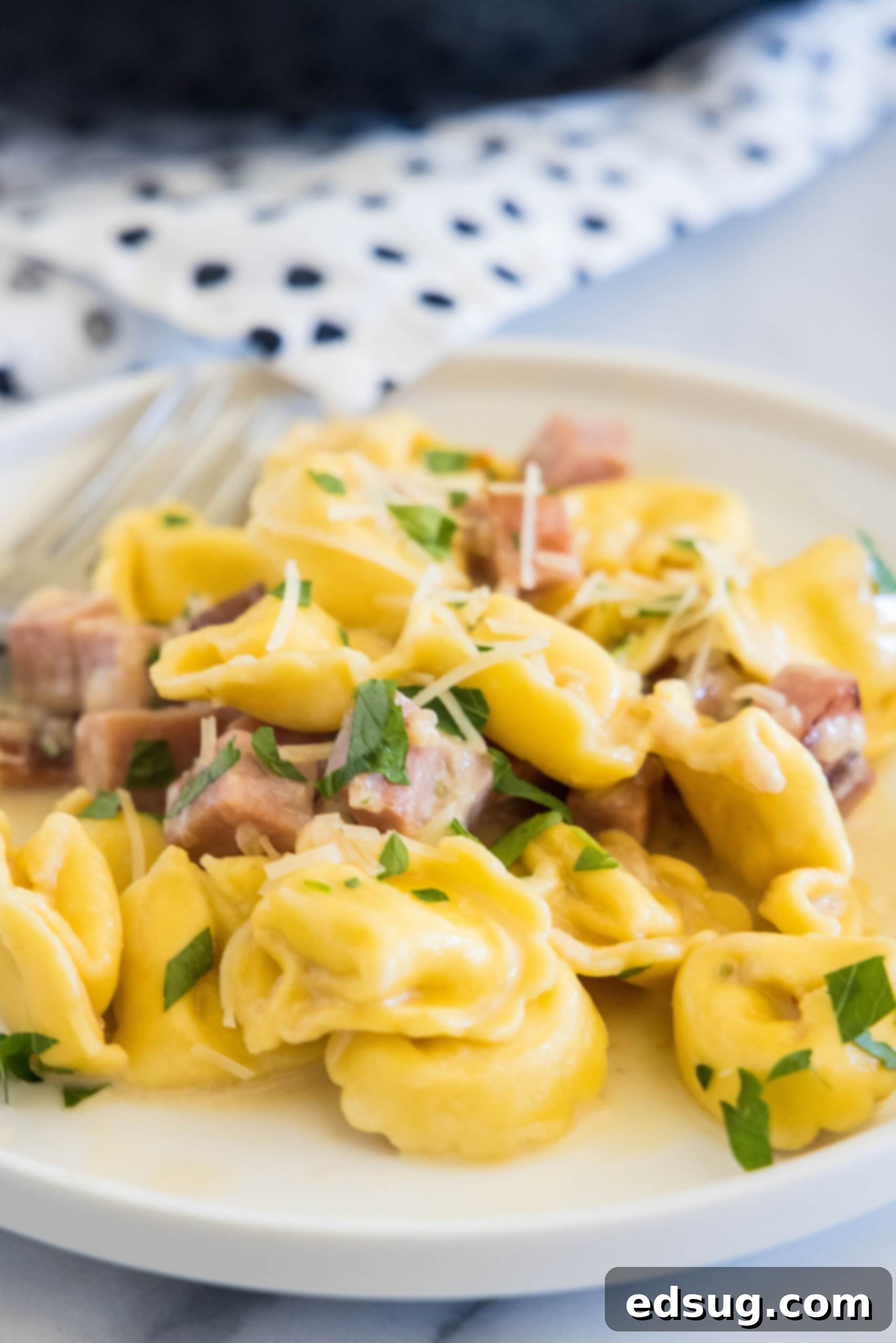 Ham tortellini garnished with chopped parsley and parmesan on a white plate, with a fork in the background.