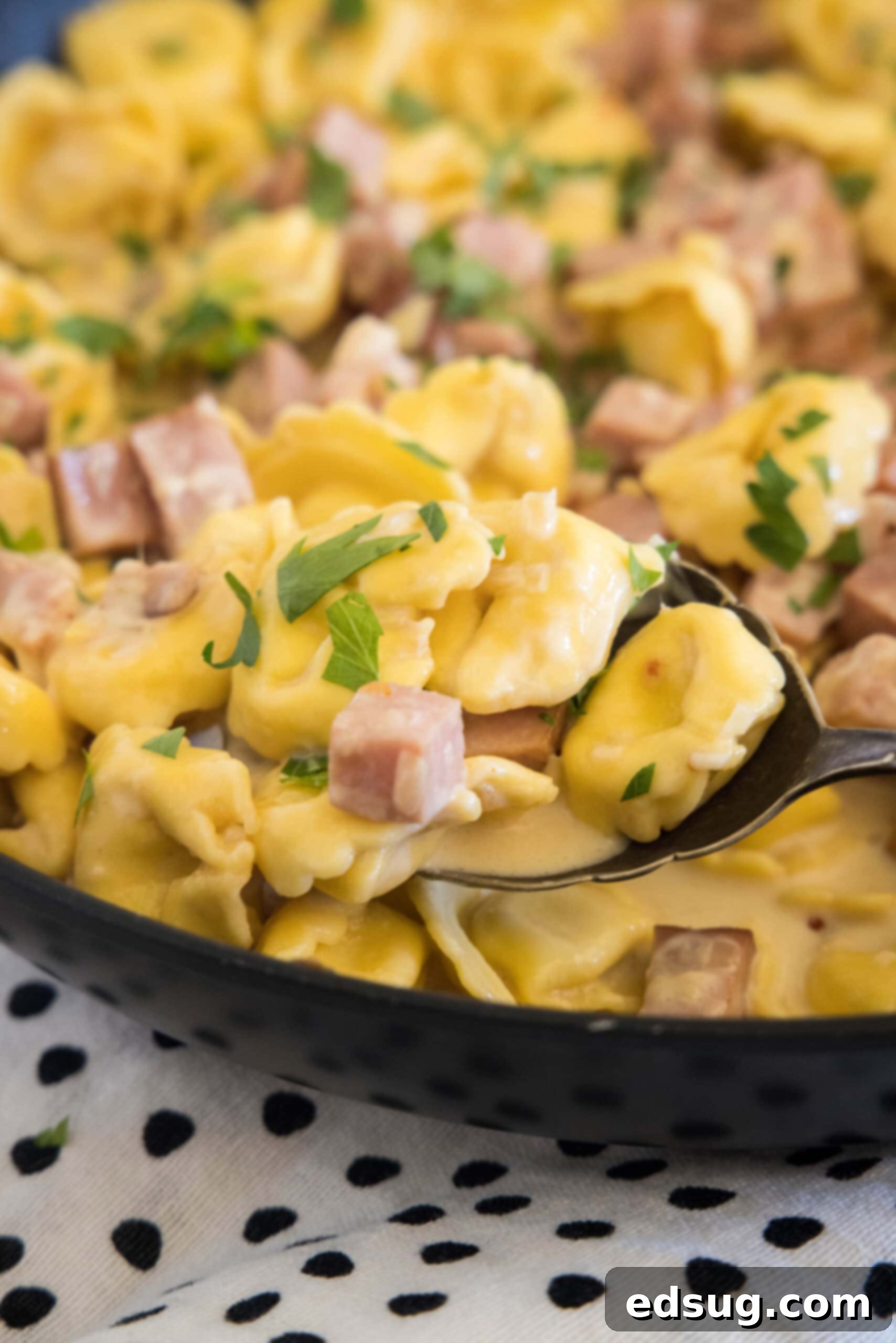 Close up of a serving spoon scooping ham tortellini from a large skillet.