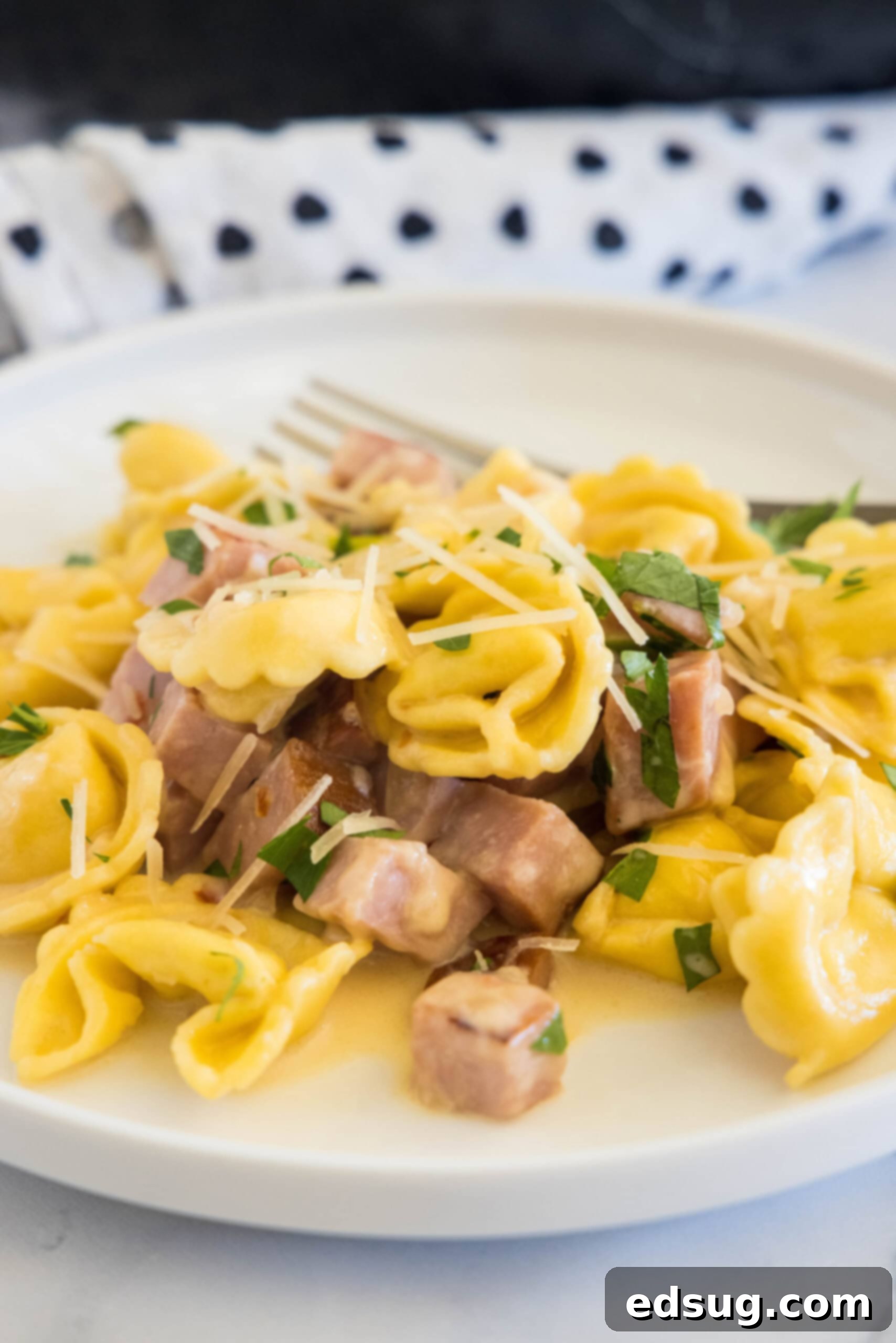 Ham tortellini garnished with chopped parsley and parmesan on a white plate, with a fork in the background.