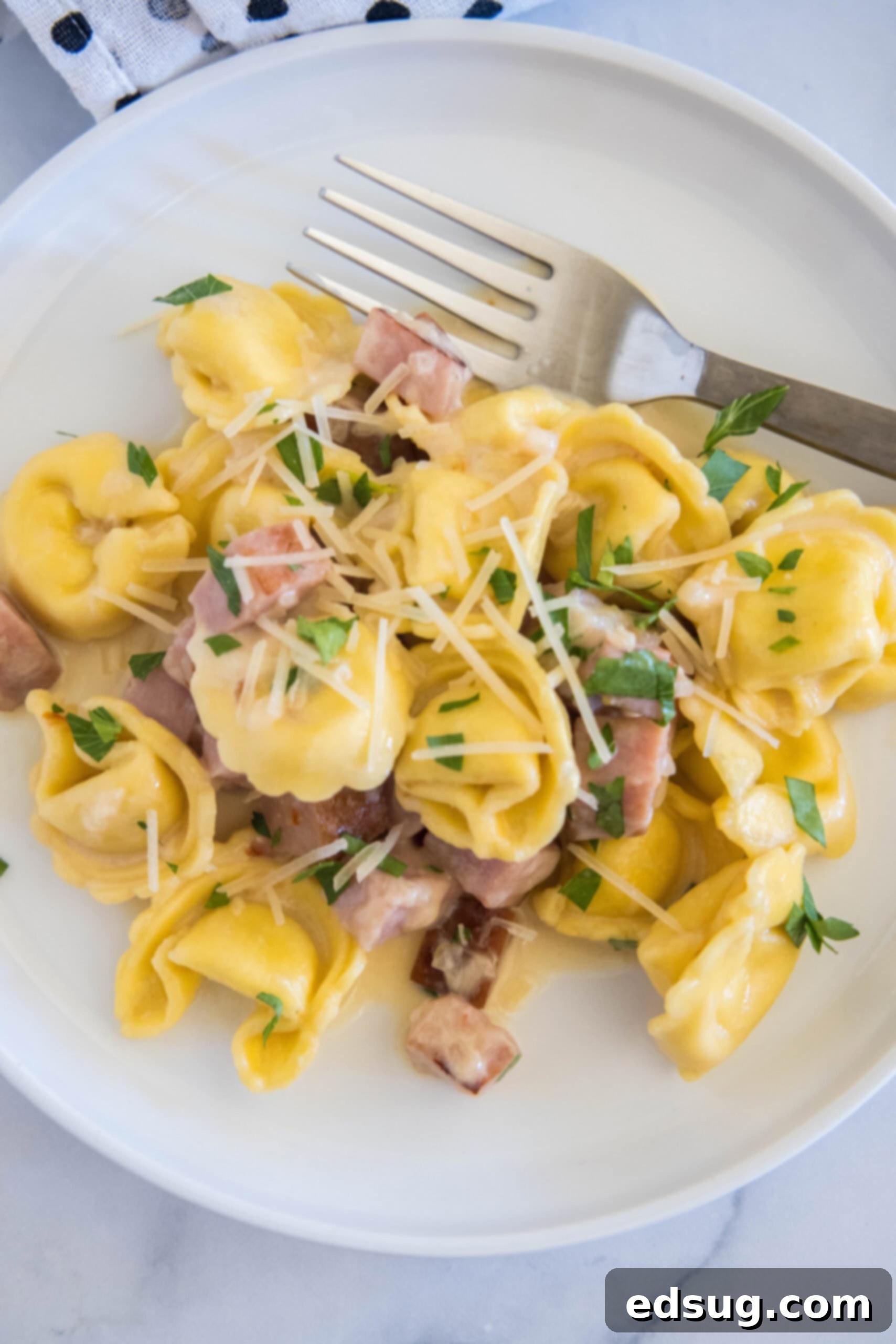 Overhead view of ham tortellini garnished with chopped parsley and parmesan on a white plate, next to a fork.