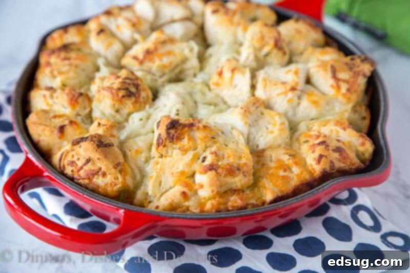 Overhead view of a baking pan filled with golden brown Italian cheese pull apart bread, glistening with melted butter and herbs.