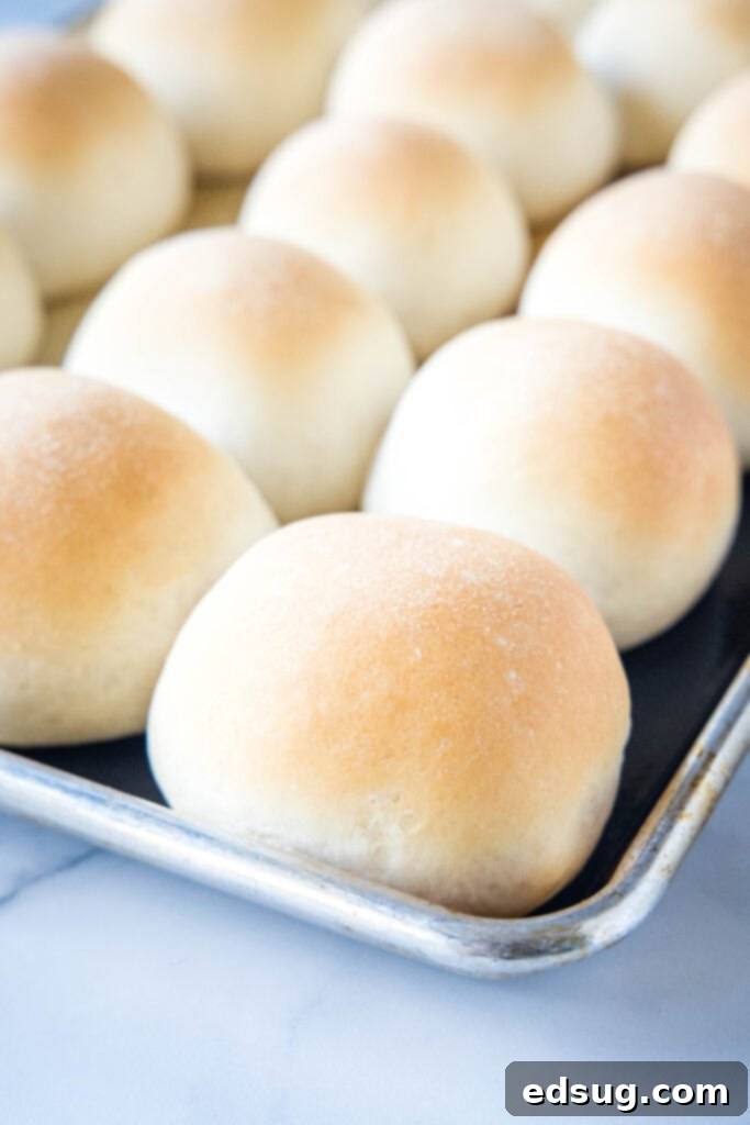 baked french rolls on a baking sheet