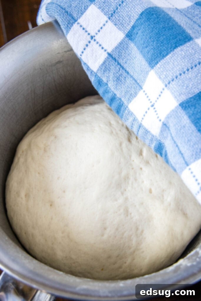 dough rising in mixing bowl