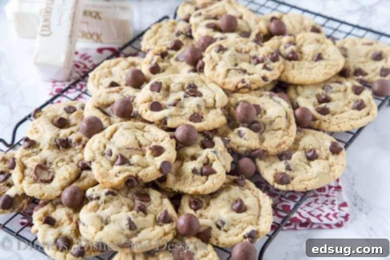 Malt Chocolate Chip Whopper Cookies 3 malt chocolate chip whopper cookies in a pan