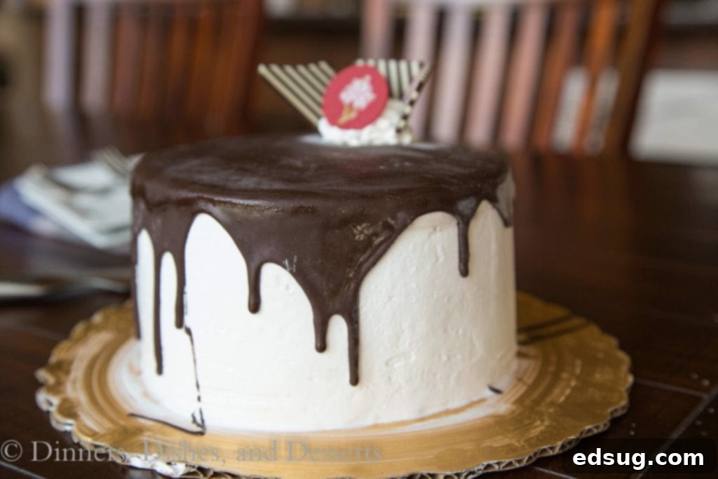 Tall, Dark, & Delicious ice cream cake by Cold Stone Creamery, a perfect dessert for celebrations.