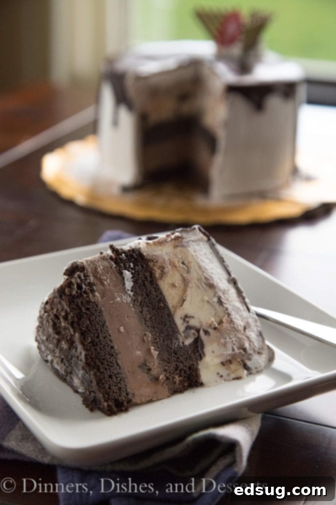 Tall, Dark, & Delicious ice cream cake from Cold Stone Creamery, presented for Father's Day celebration.