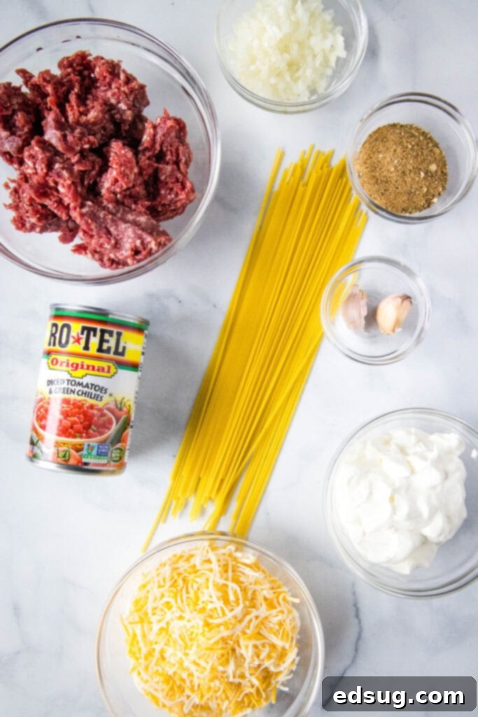 A flat lay of all ingredients needed for taco spaghetti, including ground beef, onion, garlic, Rotel, taco seasoning, sour cream, cheese, and dry spaghetti.