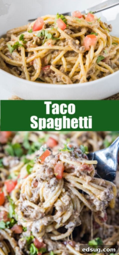 Close-up of a serving of taco pasta, styled for Pinterest with a focus on the rich sauce and cheese.