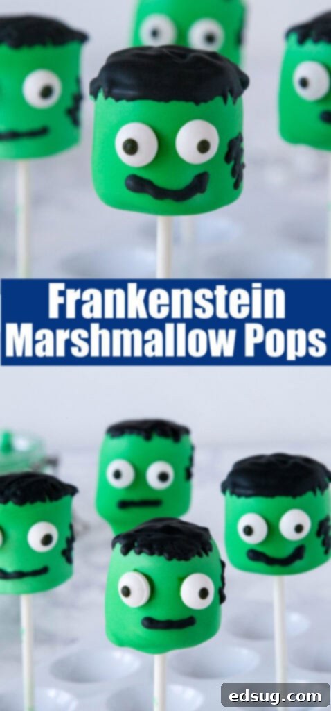 Franken Mallow Treats 5 Frankenstein Marshmallow Pops - a delicious and easy Halloween dessert