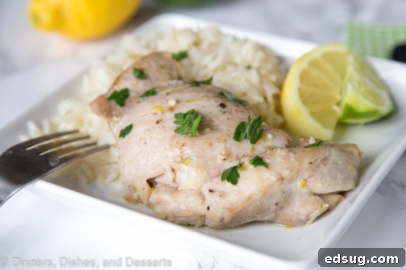 Overhead shot of two plates of Citrus Garlic Chicken with Coconut Lime Rice, featuring vibrant colors