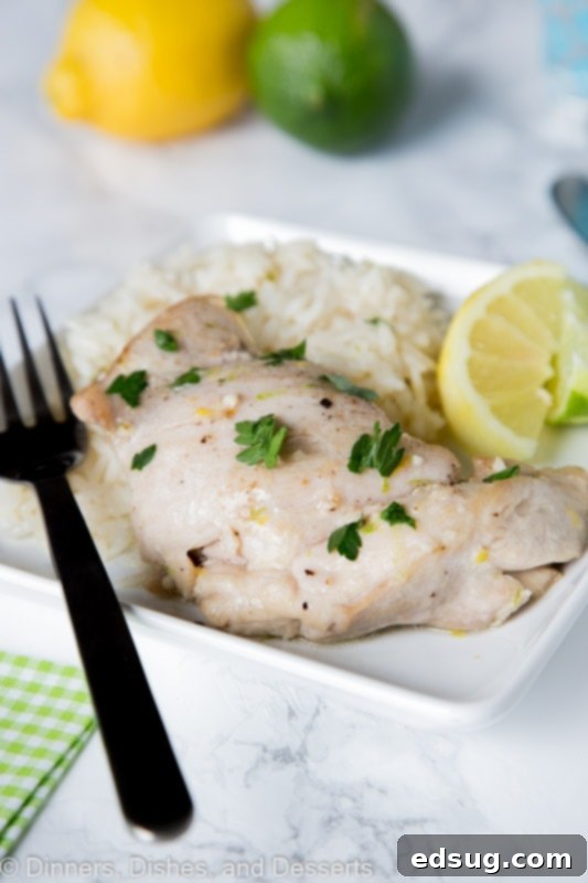 Plated Citrus Garlic Chicken with Coconut Lime Rice, garnished with fresh cilantro and lime wedges