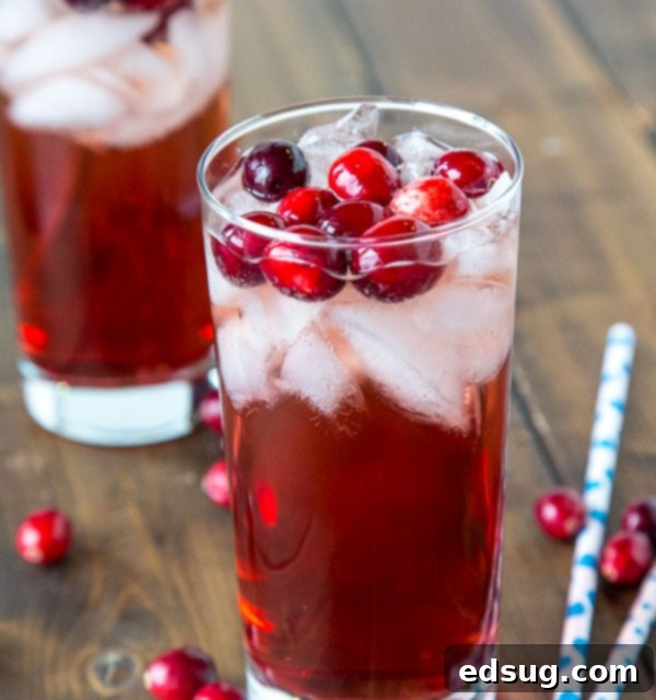 Holiday Wine Spritzer, a festive cocktail with wine, ginger ale, and cranberry juice.