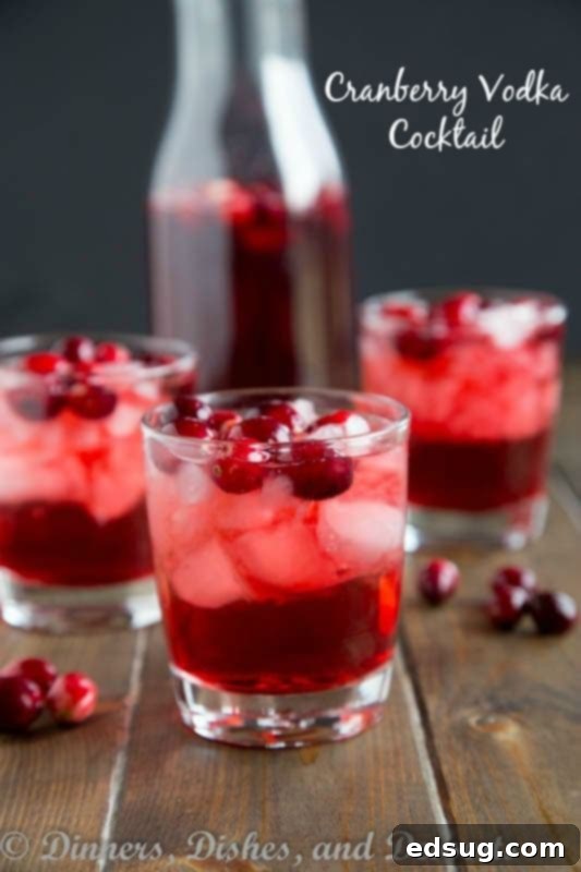 Cranberry Vodka Cocktail, a fun and easy holiday drink with cranberry juice, vodka, and fizz.